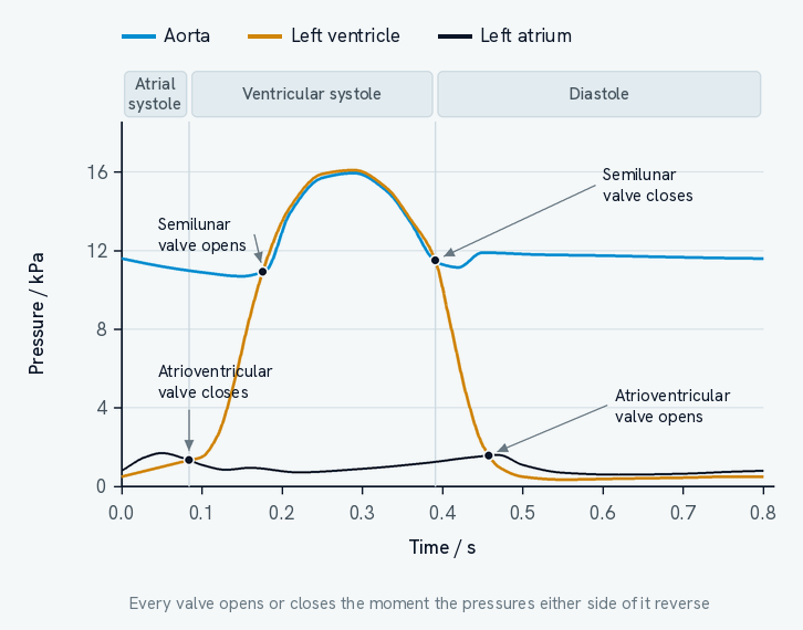 A graph of pressure in kilopascals against time in seconds through one cardiac cycle of 0.8 seconds, with three traces: the aorta in blue, the left ventricle in amber and the left atrium in dark ink. A band across the top divides the cycle into atrial systole, ventricular systole and diastole. Four points are marked where two traces cross, each being a valve event: the atrioventricular valve closes at 0.08 seconds, the semilunar valve opens at 0.18 seconds as the ventricle rises past the aorta, the semilunar valve closes at 0.39 seconds as the ventricle falls back below the aorta, and the atrioventricular valve opens at 0.46 seconds