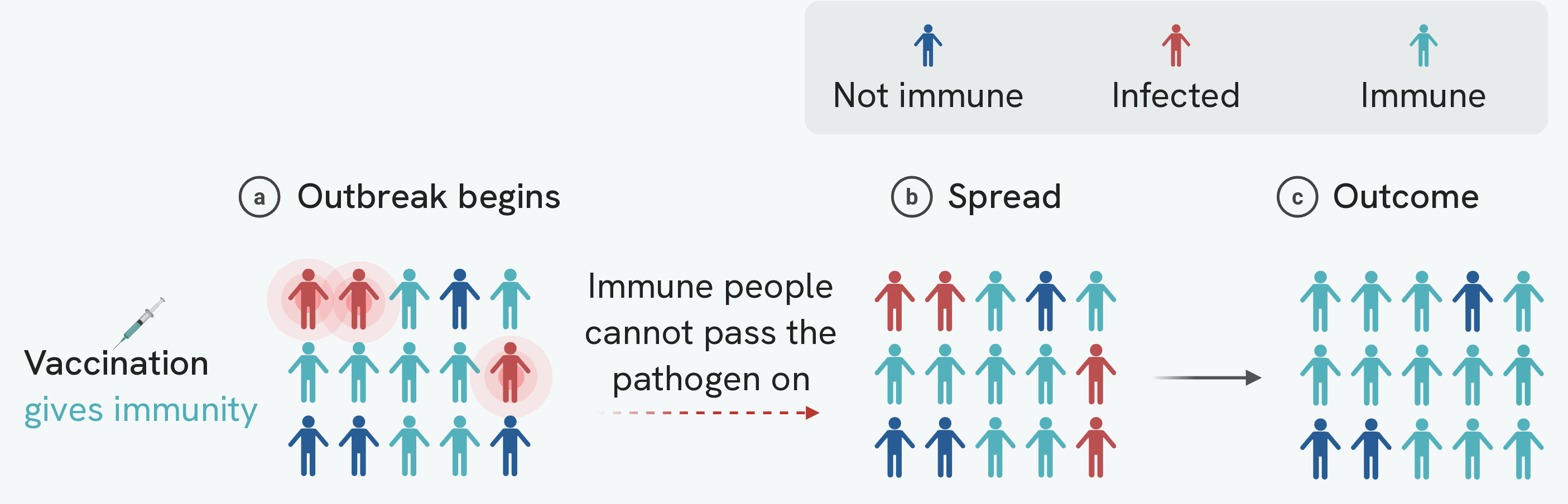 The same fifteen people drawn three times as one outbreak runs through them. In the first panel three are infected and most of the rest are already immune from vaccination; in the second the infection has spread to five; in the third everyone who was infected has recovered and is immune, and the three people who were never immune are still well. A legend names the three colours as not immune, infected and immune