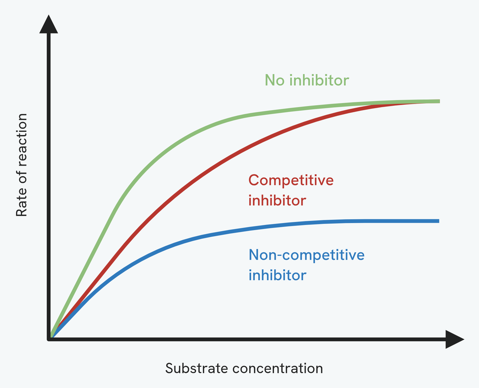 A graph of rate of reaction against substrate concentration for three cases. Without an inhibitor the rate rises fastest and levels off at the highest maximum. With a competitive inhibitor the rise is slower but still reaches the same maximum rate once there is enough substrate. With a non-competitive inhibitor the rate levels off at a lower maximum that adding more substrate cannot overcome.