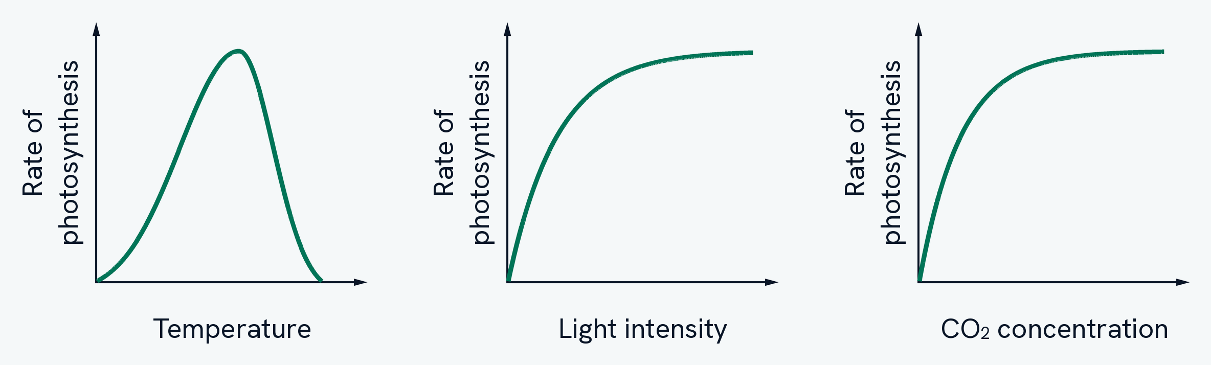 Three graphs of the rate of photosynthesis, one against temperature, one against light intensity and one against carbon dioxide concentration. The temperature graph rises from the origin to a peak and then falls away sharply, back down to the axis. The other two rise steeply and then level off. No axis on any of the three carries a scale