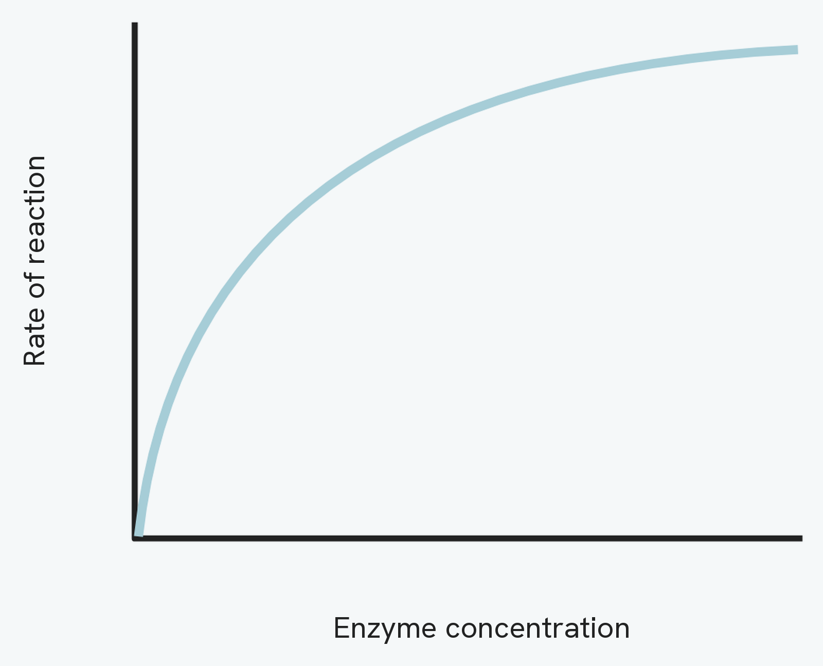 A graph of rate of reaction against enzyme concentration. The rate rises as more enzyme provides more active sites, then levels off when substrate becomes the limiting factor.